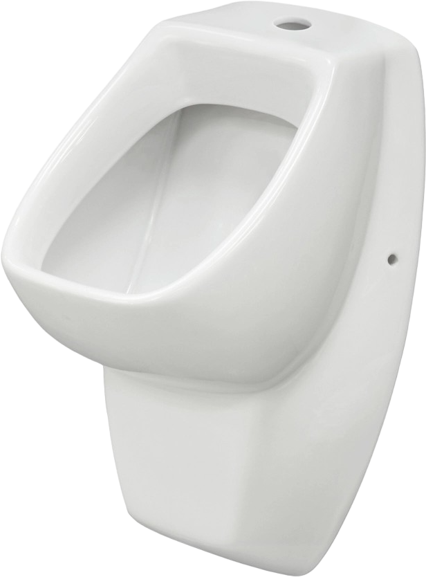 Писсуар подвесной Santek Гала 1WH301774 белый