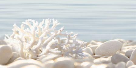 Декор Alma Ceramica Del Mare DWU09DLM624 24,9х50 глянцевый