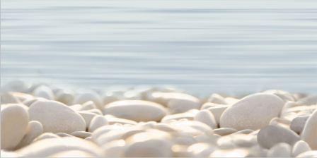 Декор Alma Ceramica Del Mare DWU09DLM604 24,9х50 глянцевый