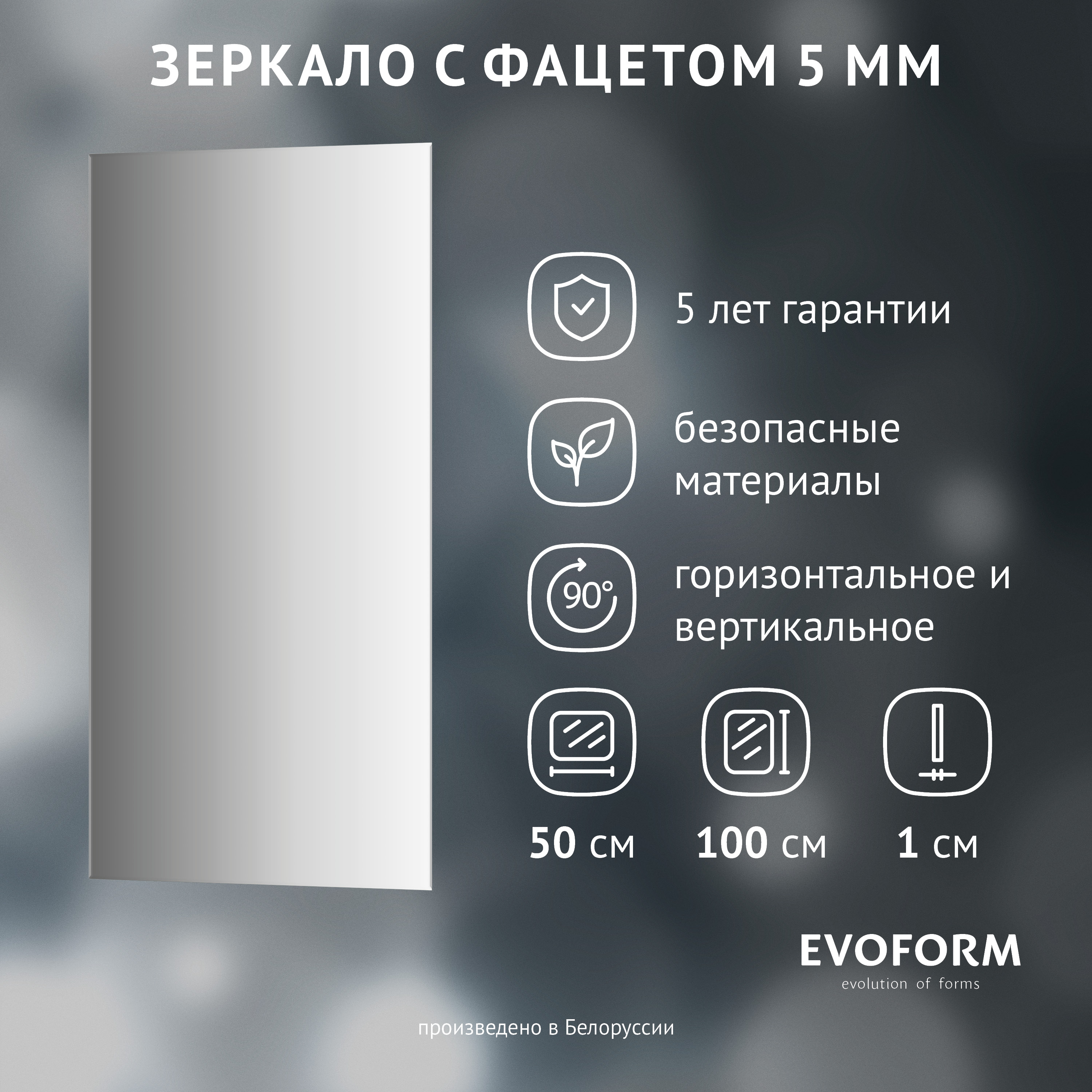 Зеркало Evoform Standard BY 0231 50x100 50x100