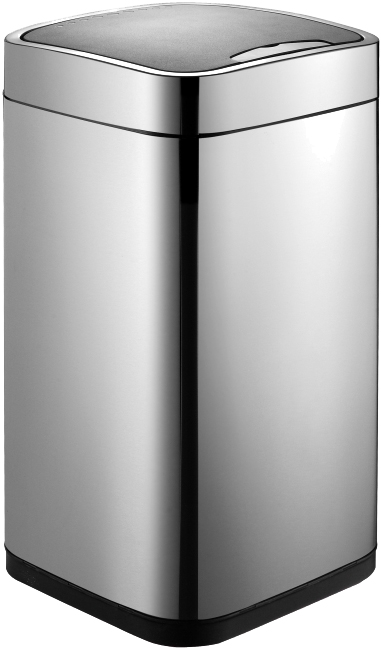 Мусорное ведро Weltwasser WW Rone MT 12L хром матовый