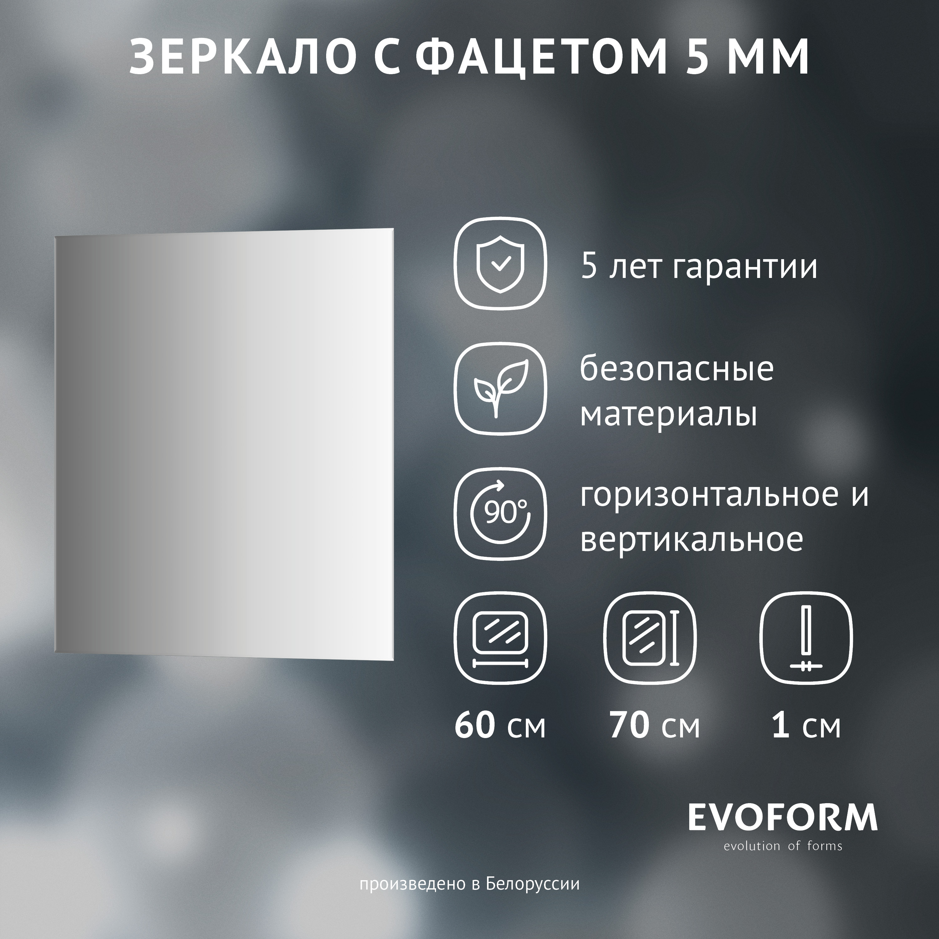 Зеркало Evoform Standard BY 0214 60x70