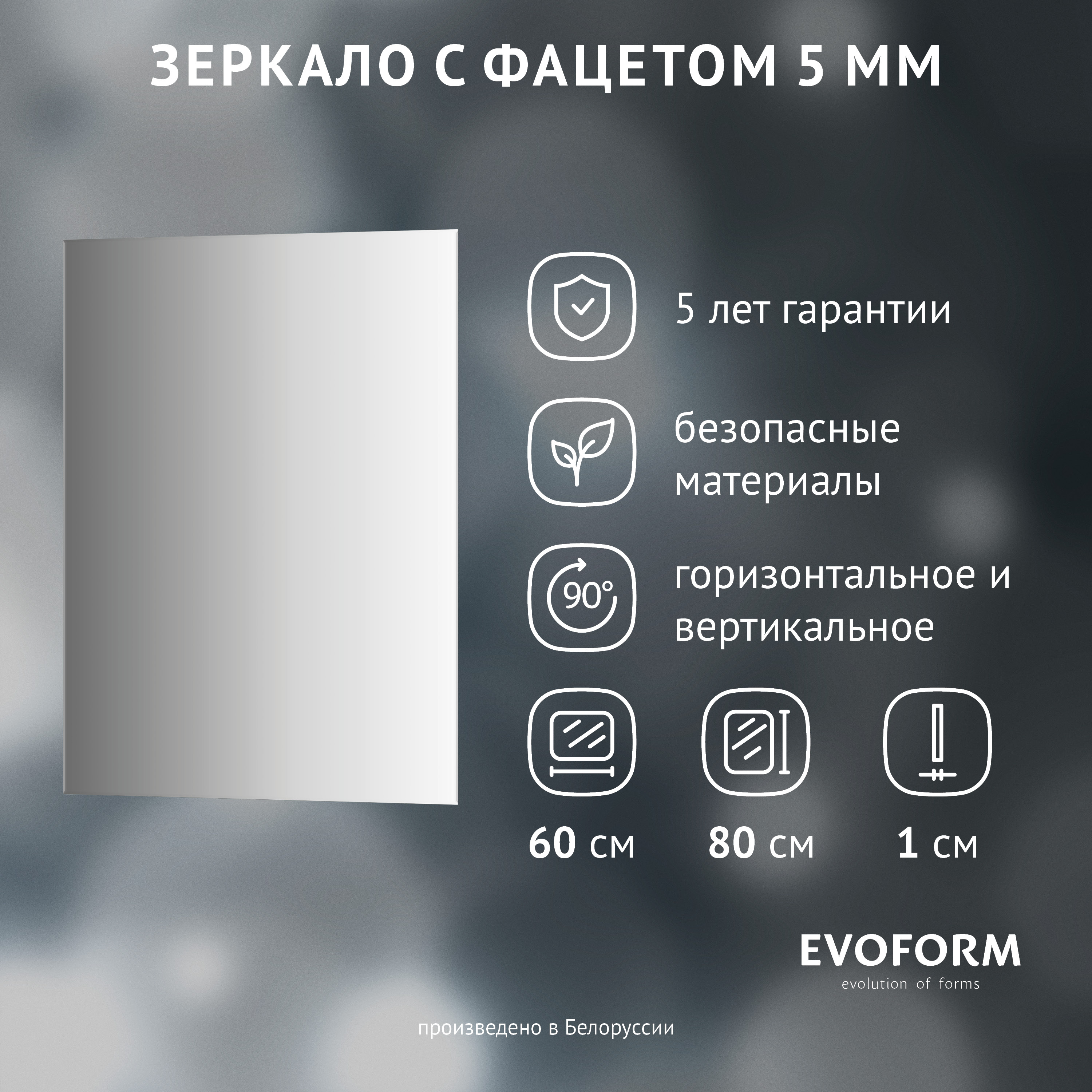 Зеркало Evoform Standard BY 0219 60x80