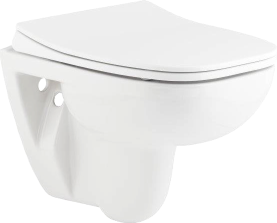 Унитаз подвесной Seramiksan Petite A101002H