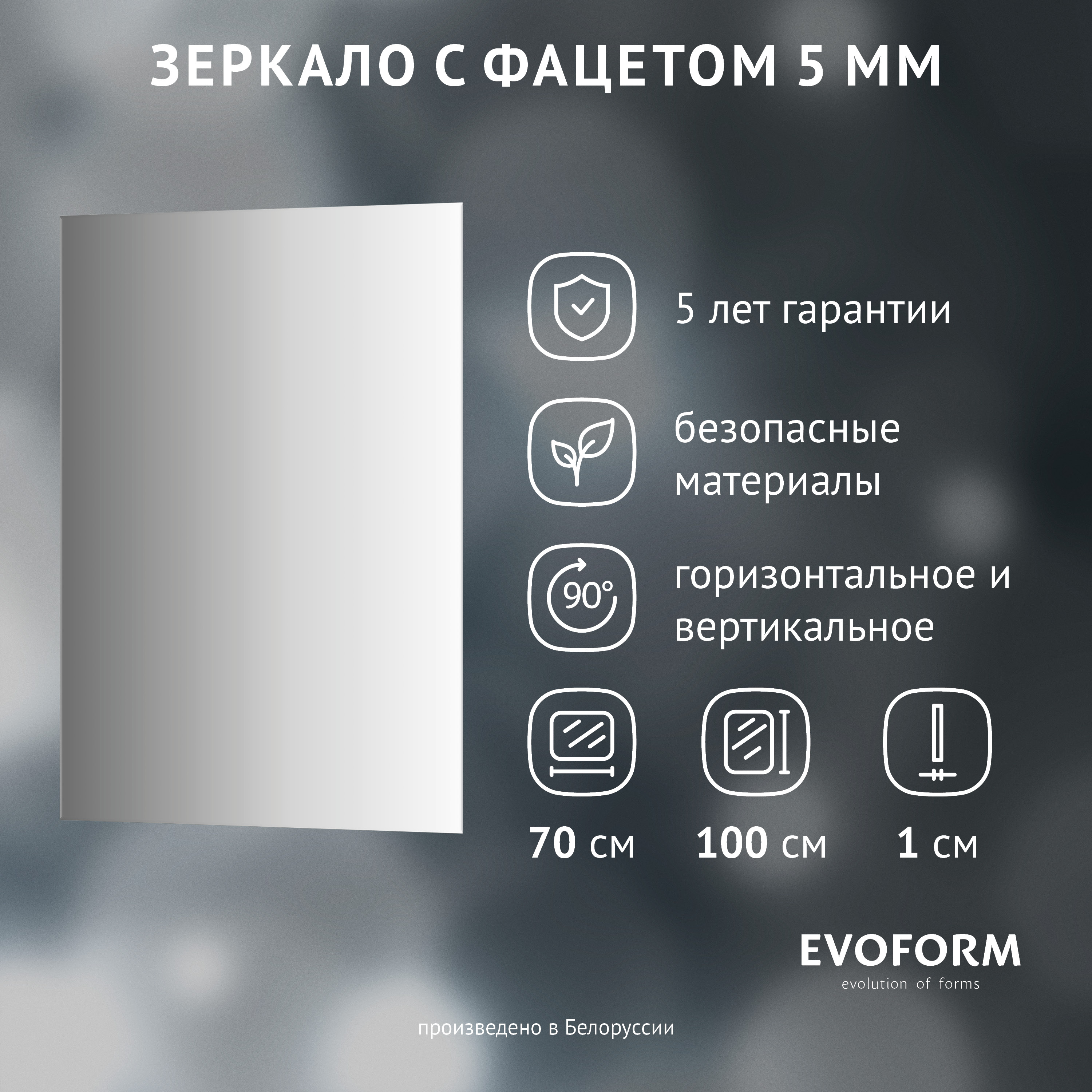 Зеркало Evoform Standard BY 0233 70х100 с фацетом