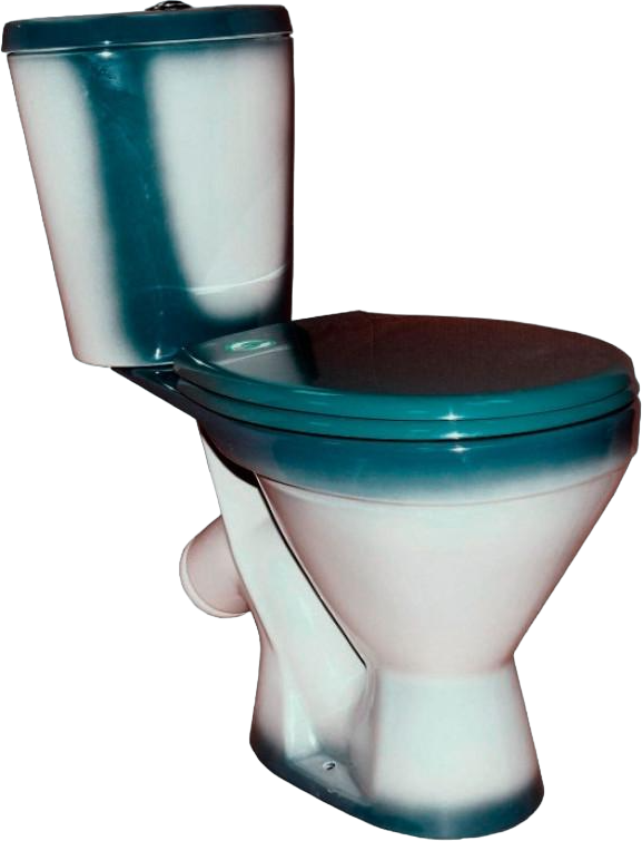 Унитаз-компакт напольный Rosa Элегант 4620008195711