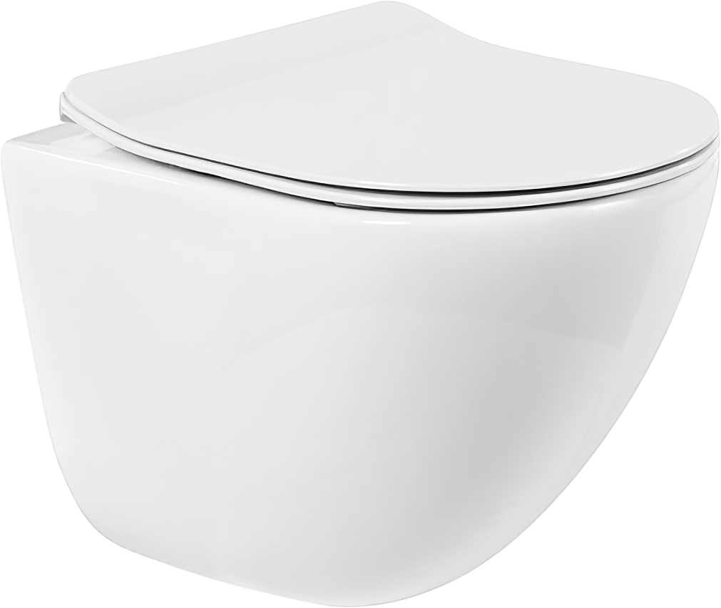 Унитаз подвесной BelBagno Amanda BB051CHR BB2034SC с микролифтом, безободковый