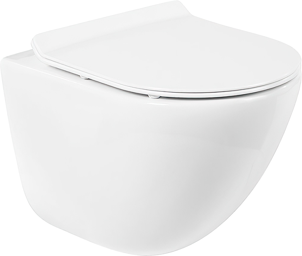 Унитаз подвесной BelBagno Amanda BB051CHR BB2111SC с микролифтом, безободковый