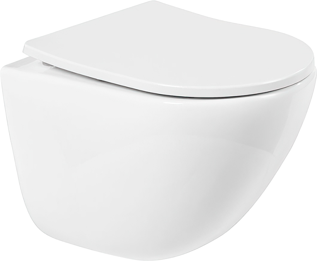 Унитаз подвесной BelBagno Amanda BB051CHR BB2031SC с микролифтом, безободковый