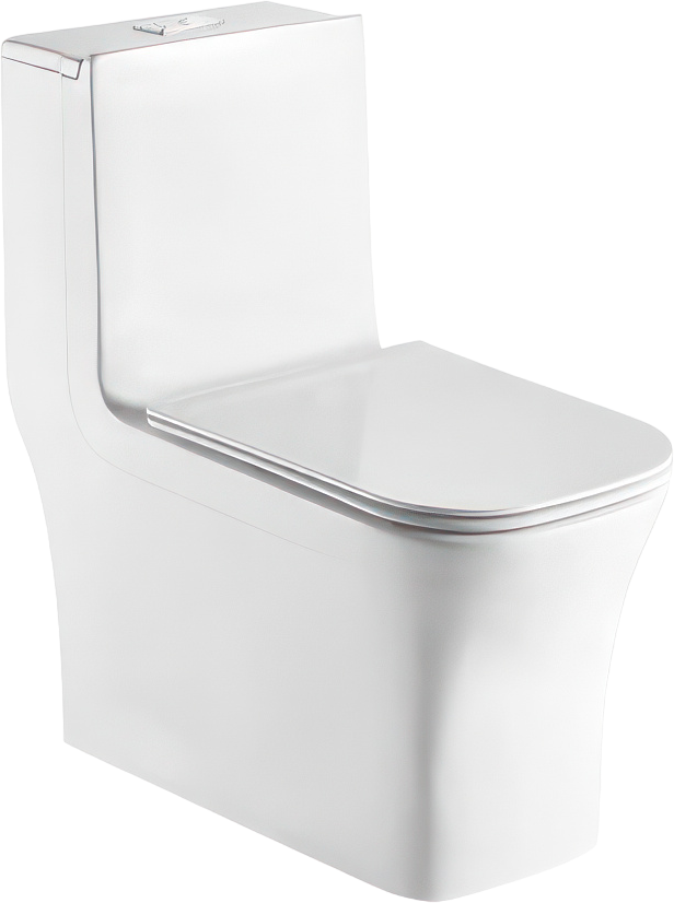 Унитаз-моноблок напольный Weltwasser WW SK Glanbach 001 GL-WT