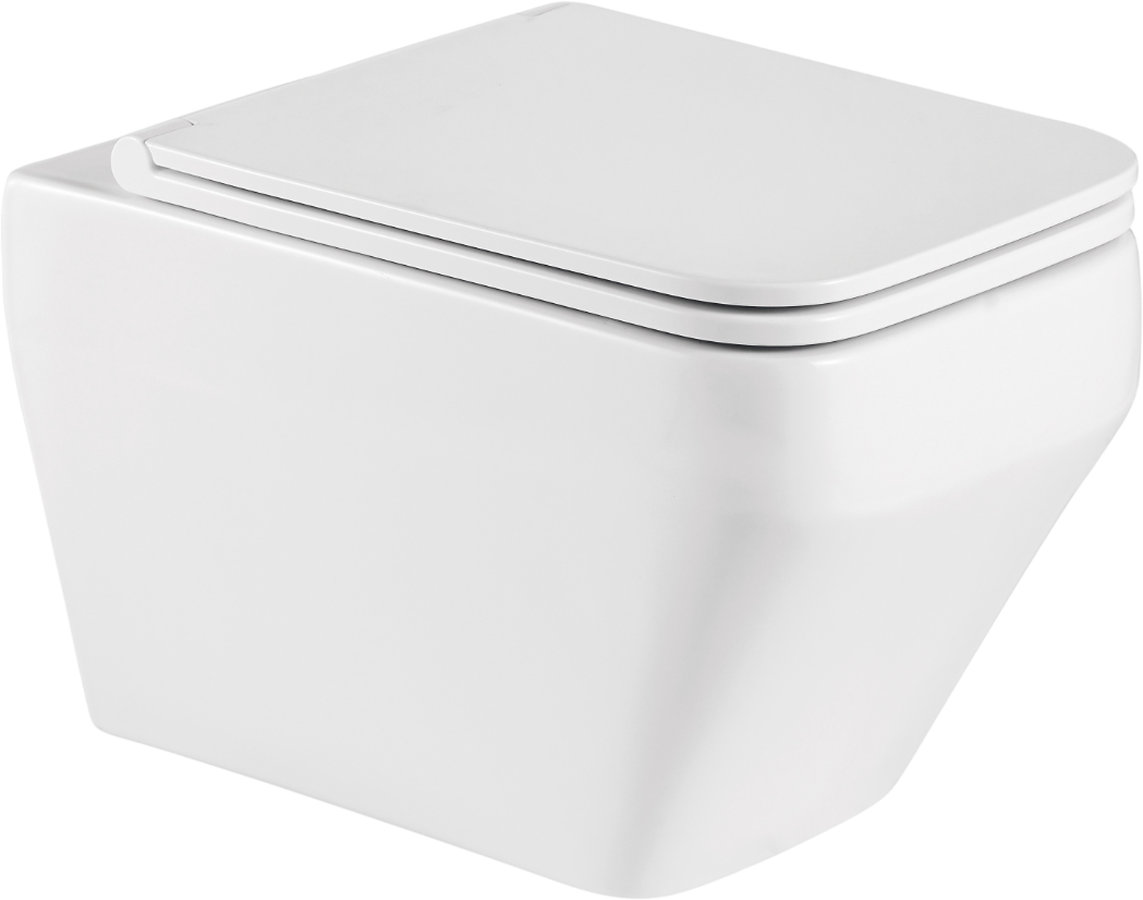 Унитаз подвесной Weltwasser WW SK Hofbach 041 GL-WT