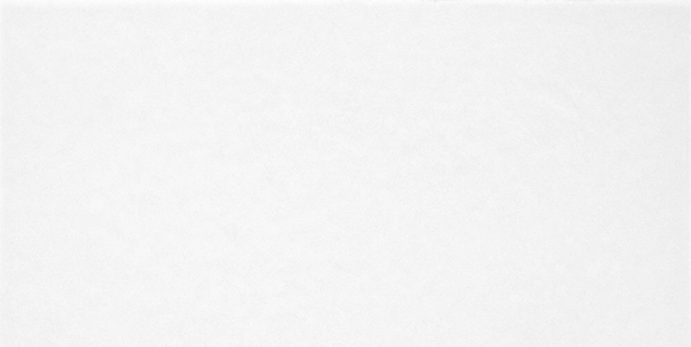 Керамическая плитка настенная Alma Ceramica Monocolor TWU09MNR020 глянцевая, 24,9x50 белая