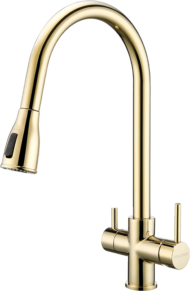 Смеситель для кухни Paulmark Lange La214212-LG светлое золото