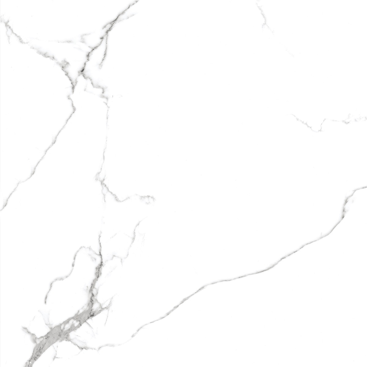 Керамогранит Royce Calacatta Venatino Matt R_NR1001 белый, 60х60
