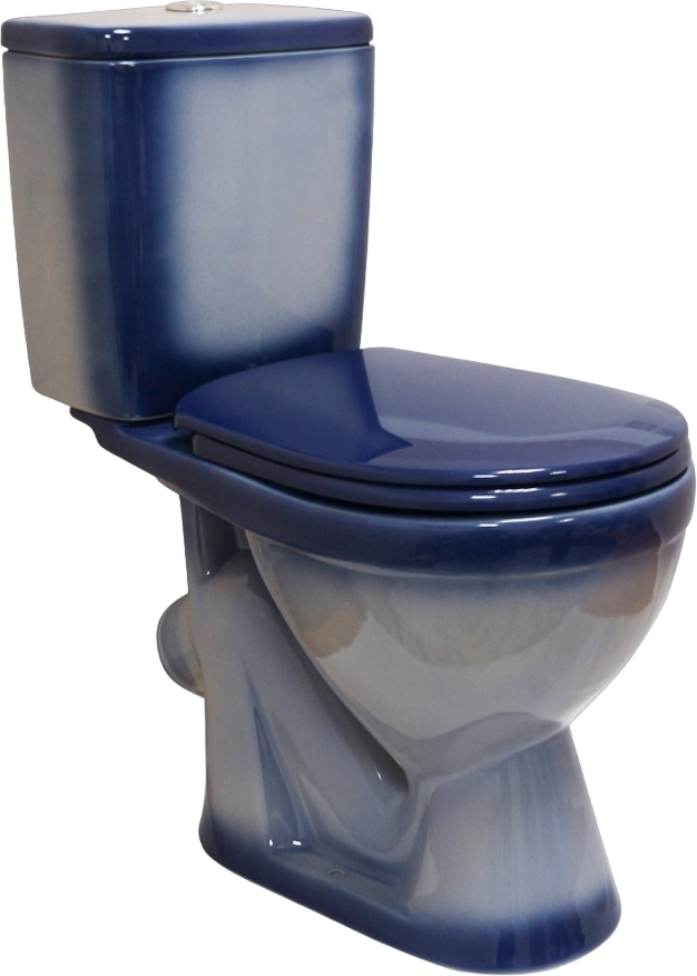 Унитаз-компакт напольный Rosa Лира 4620008192079