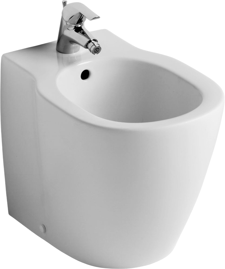 Биде напольное Ideal Standard Connect E799501 глянцевое белое