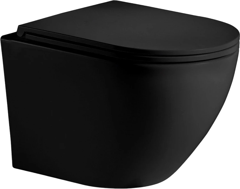 Унитаз подвесной Weltwasser WW Merzbach 043 MT-BL