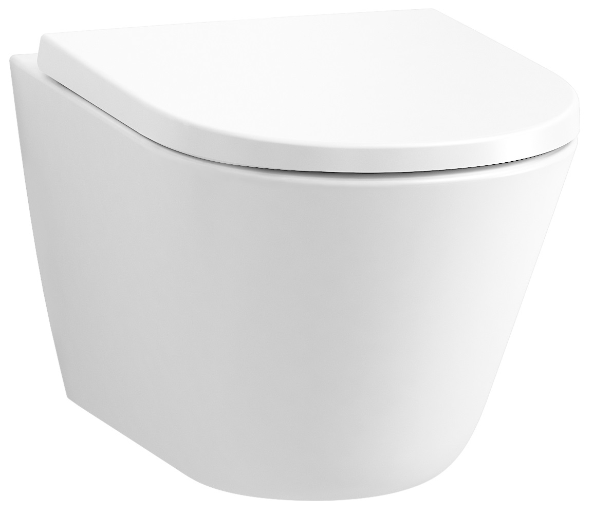 Унитаз подвесной Jacob Delafon Bastille EDAS102-00 безободковый, с микролифтом