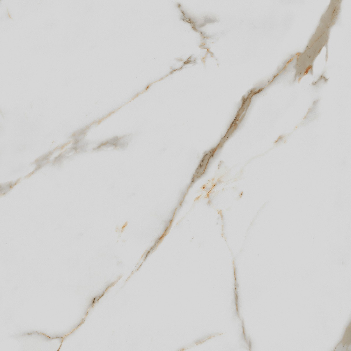 Керамогранит Royce Calacatta Gold Polished R_PR1003 белый, 60х60